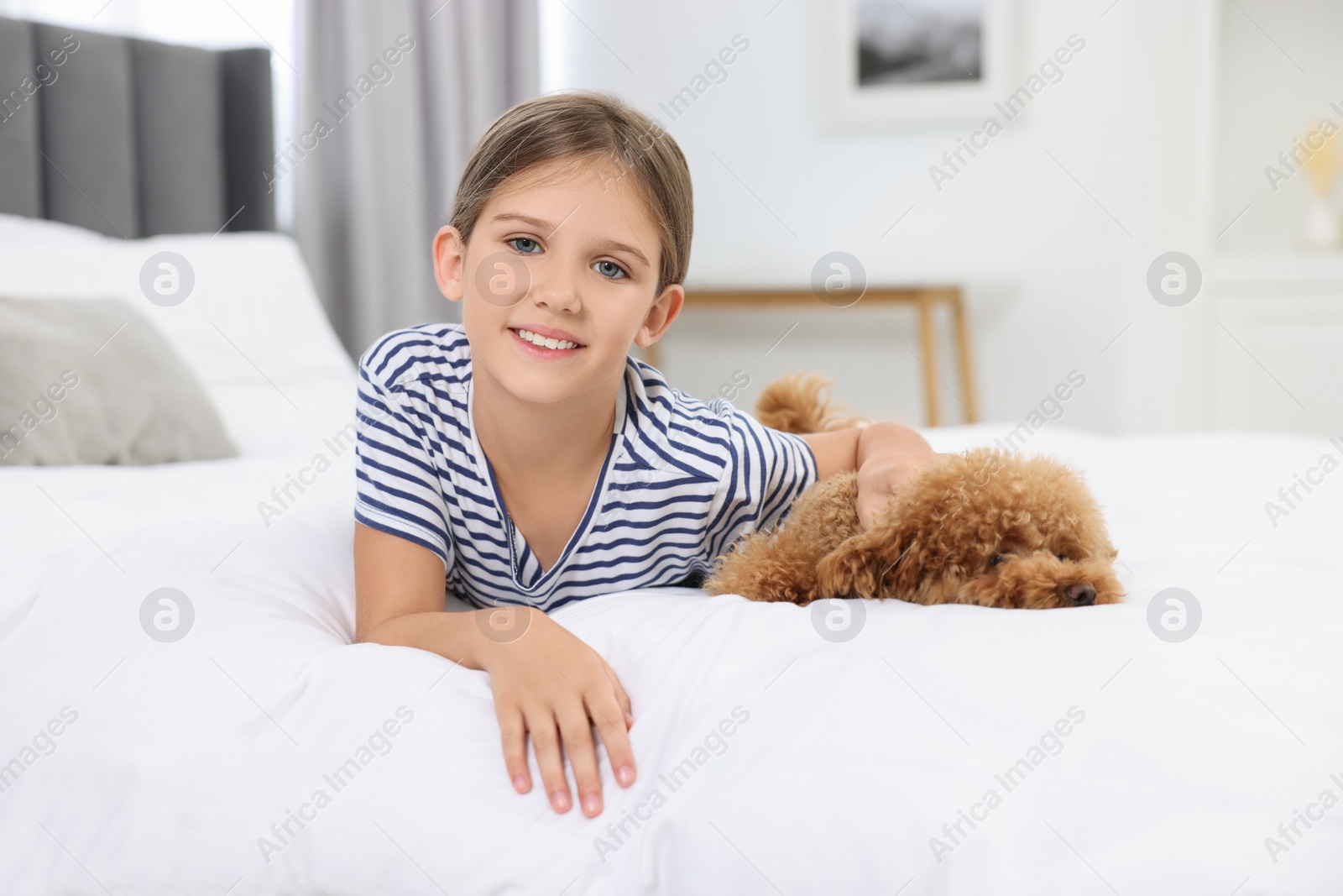 Photo of Little child and cute puppy on bed at home. Lovely pet