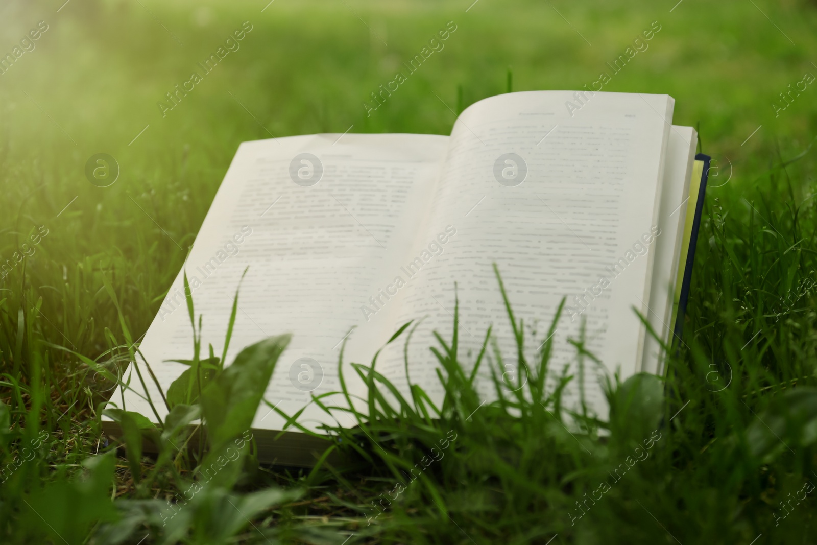 Photo of Open book on green grass in garden