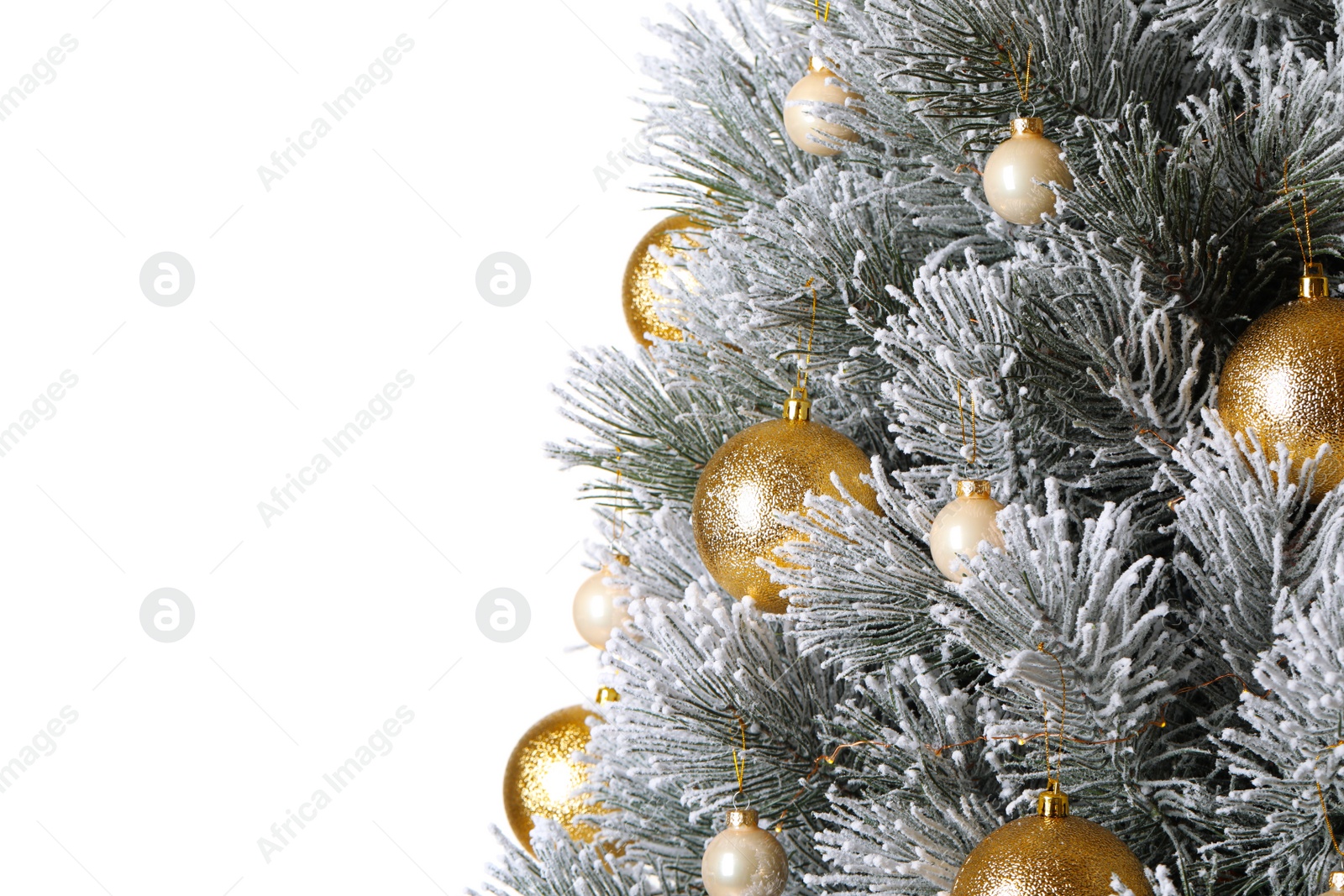 Photo of Beautiful Christmas tree with festive decor on white background