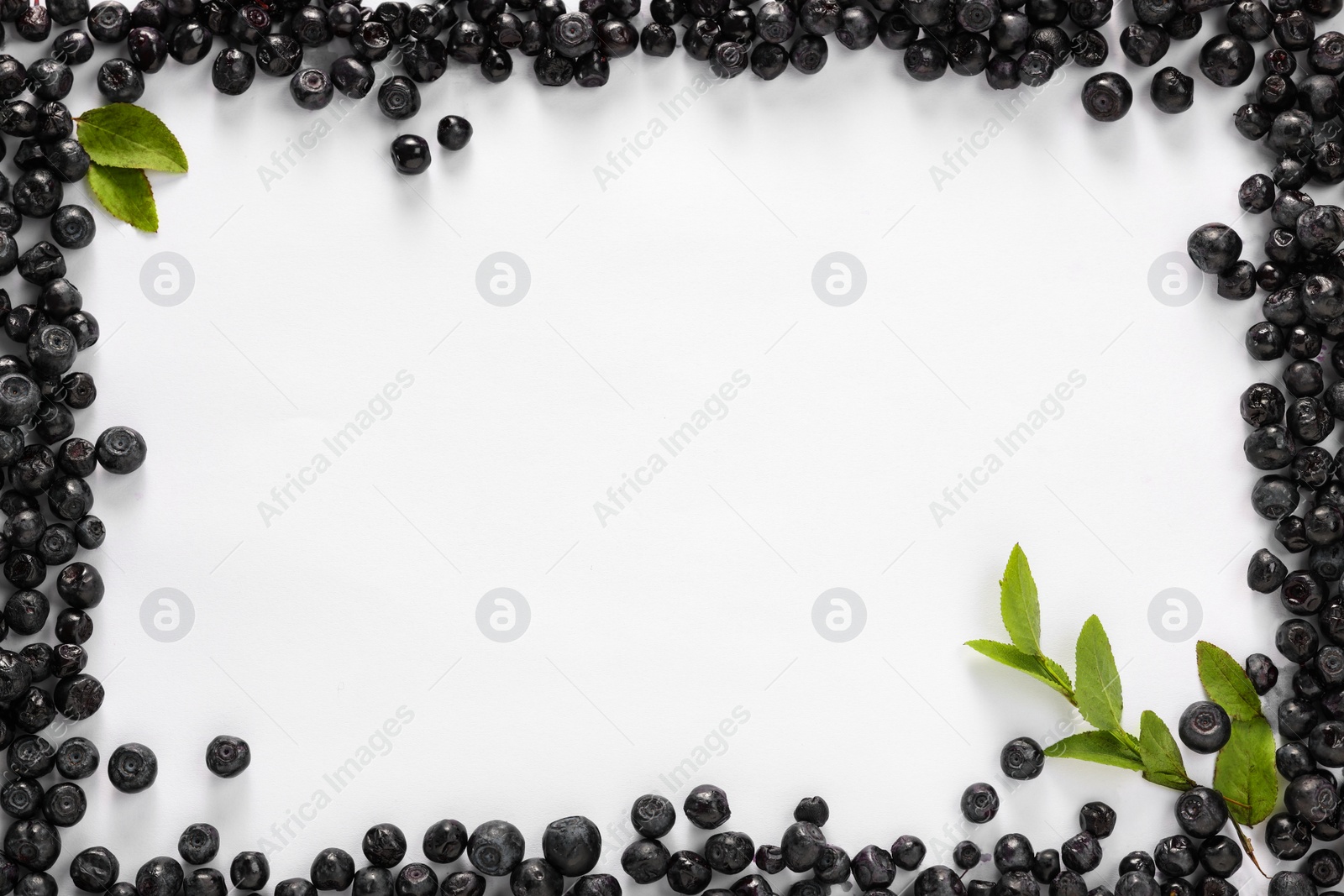 Photo of Frame of ripe bilberries and sprig on white background, flat lay. Space for text