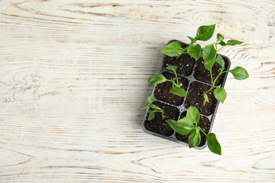 Photo of Vegetable seedlings in plastic tray on wooden background, top view. Space for text