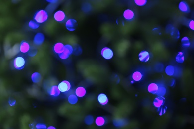 Photo of Abstract background with blurred violet Christmas lights, bokeh effect