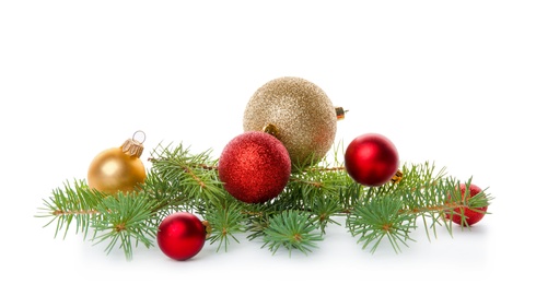 Photo of Composition with Christmas tree branch and festive decor on white background