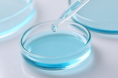 Dripping liquid from pipette into petri dish at white table, closeup. Laboratory analysis