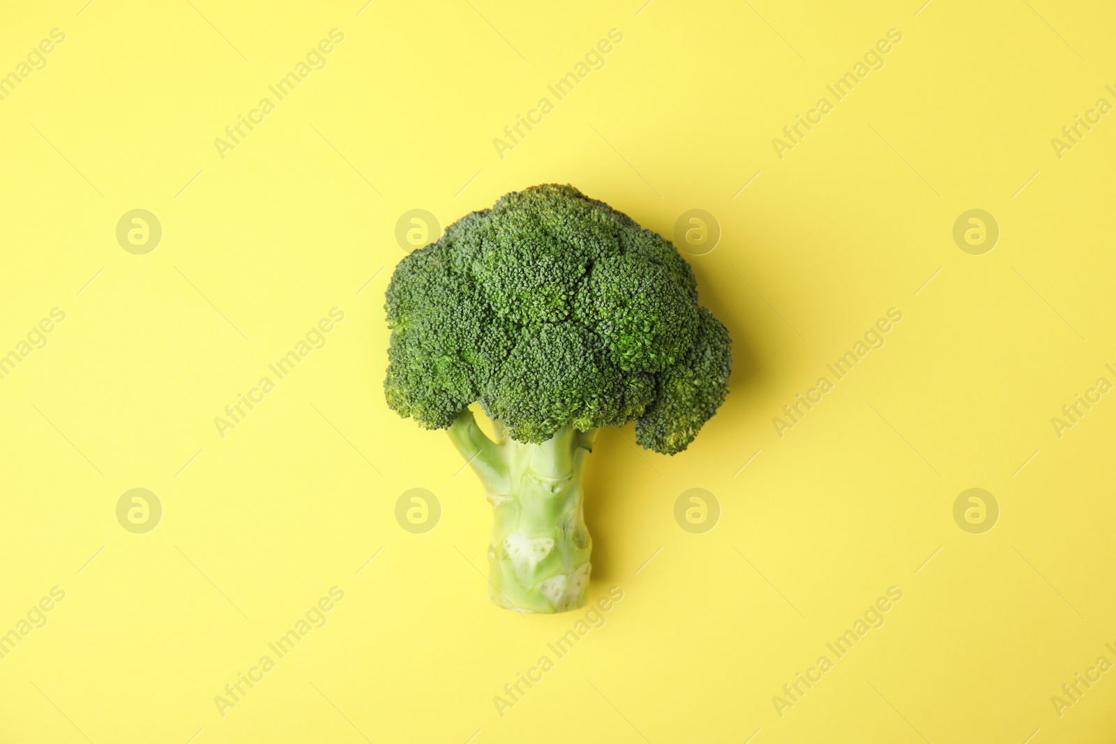 Fresh green broccoli on color background, top view. Organic food Photo of Fresh green broccoli on color background, top view. Organic food
