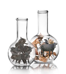 Image of Small cows and pigs in laboratory flasks on white background. Cultured meat concept