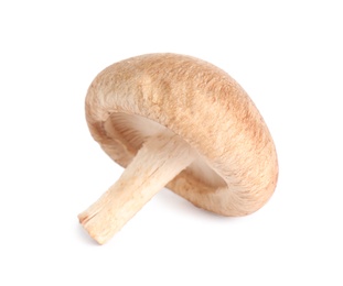 Photo of Fresh wild mushroom on white background. Edible fungi