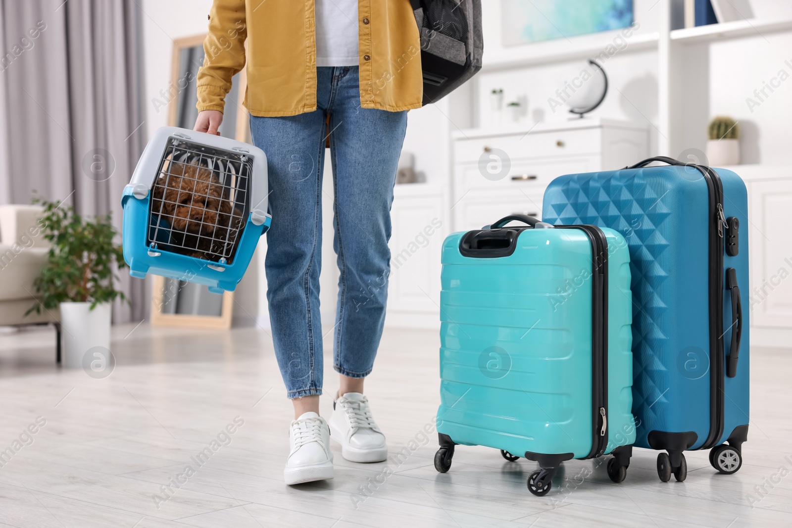 Photo of Travel with pet. Woman holding carrier with dog at home, closeup