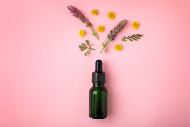 Photo of Bottle of essential oil and wildflowers on color background, flat lay