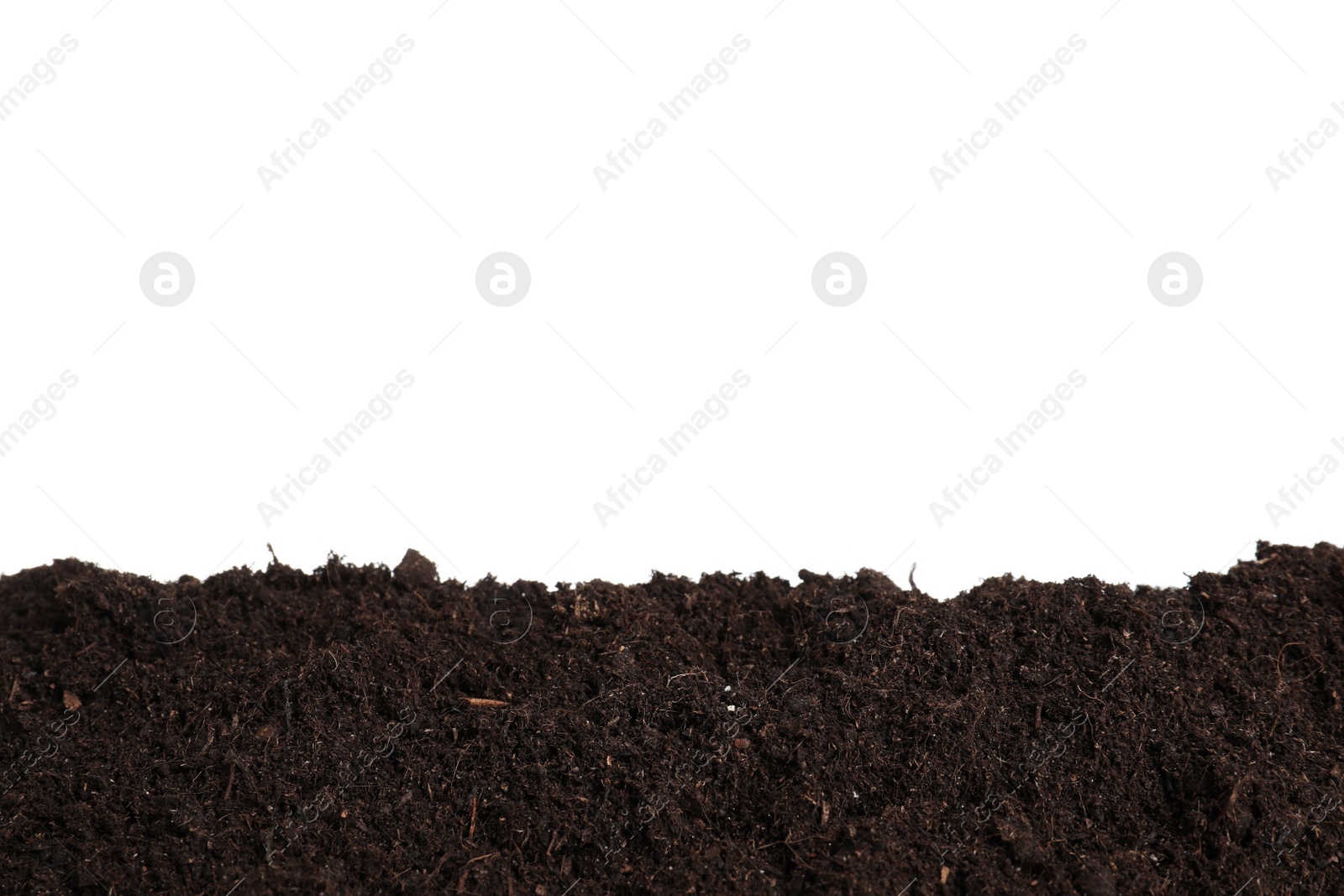 Photo of Layer of fresh soil isolated on white. Gardening time