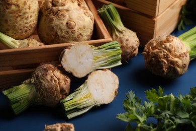 Photo of Fresh raw celery roots on blue table