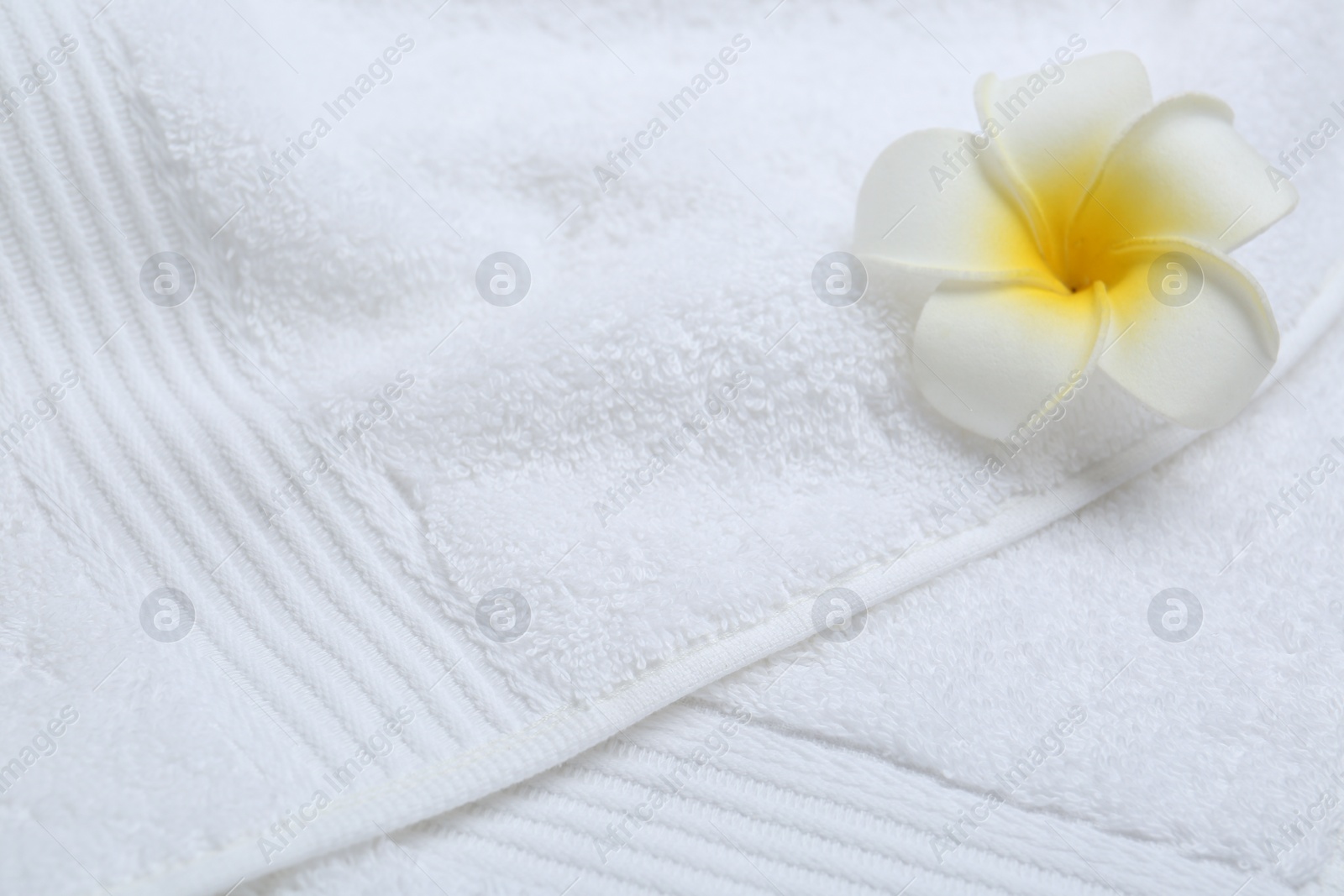 Photo of Plumeria flower on white terry towel, closeup. Space for text