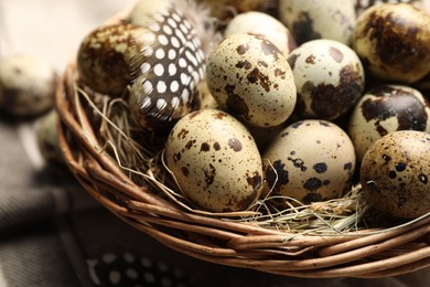 Photo of Nest with speckled quail eggs and feathers, closeup