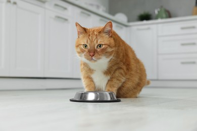 Photo of Cute ginger cat near feeding bowl at home