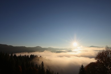 Photo of Aerial view of beautiful mountain landscape with forest and thick mist at sunrise