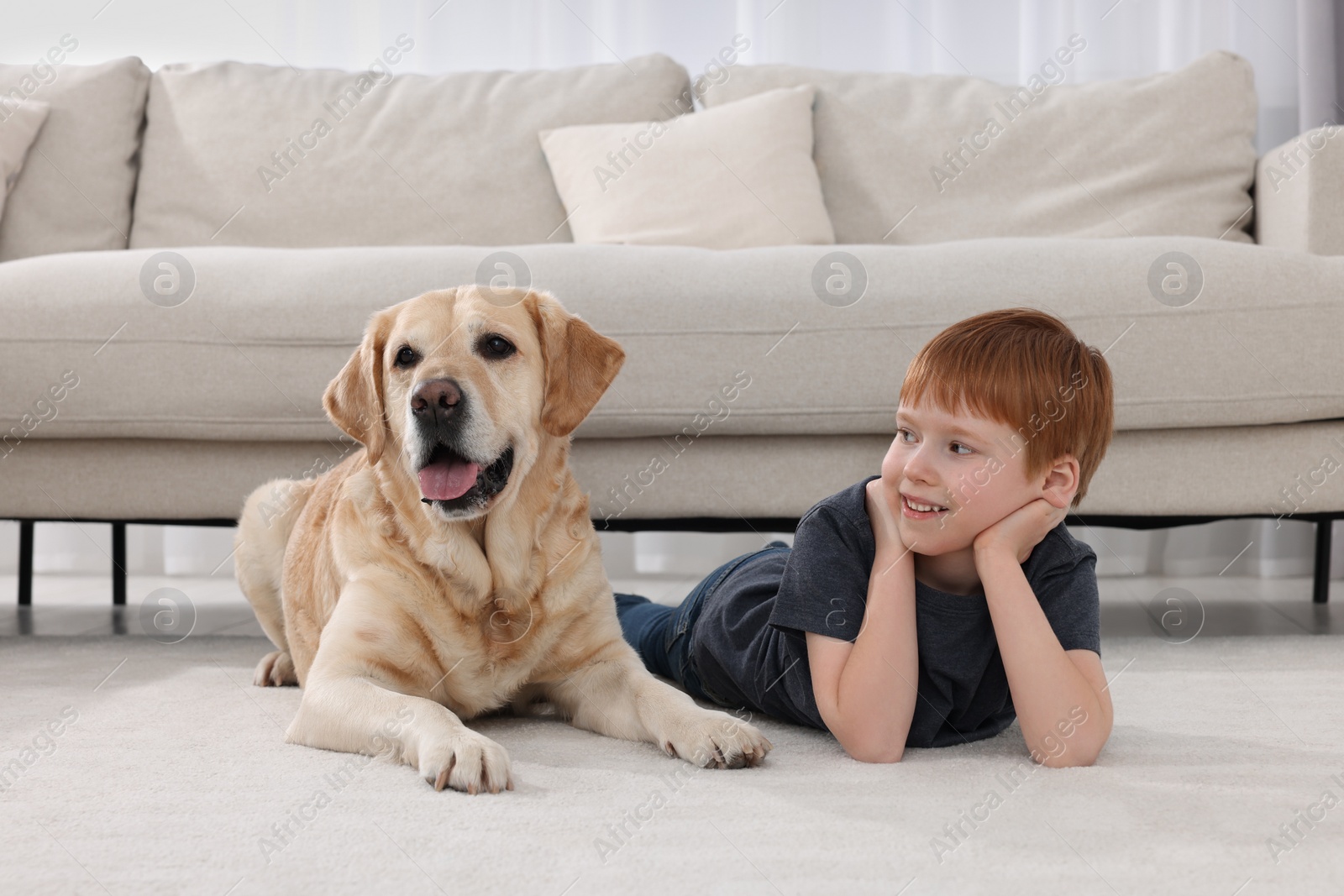 Photo of Cute child with his Labrador Retriever on floor at home. Adorable pet