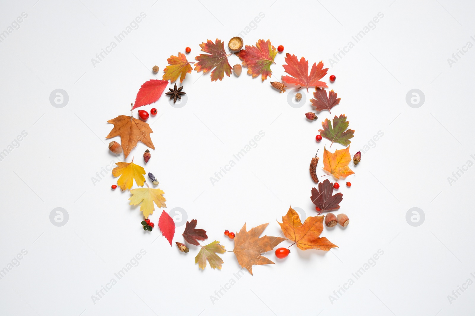 Photo of Frame made of autumn leaves on white background, top view. Space for text