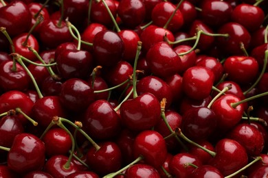 Photo of Many ripe sweet cherries as background, closeup