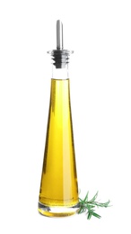 Photo of Bottle of rosemary oil on white background