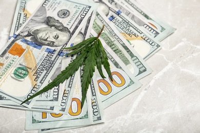 Hemp leaf and money on gray table, closeup