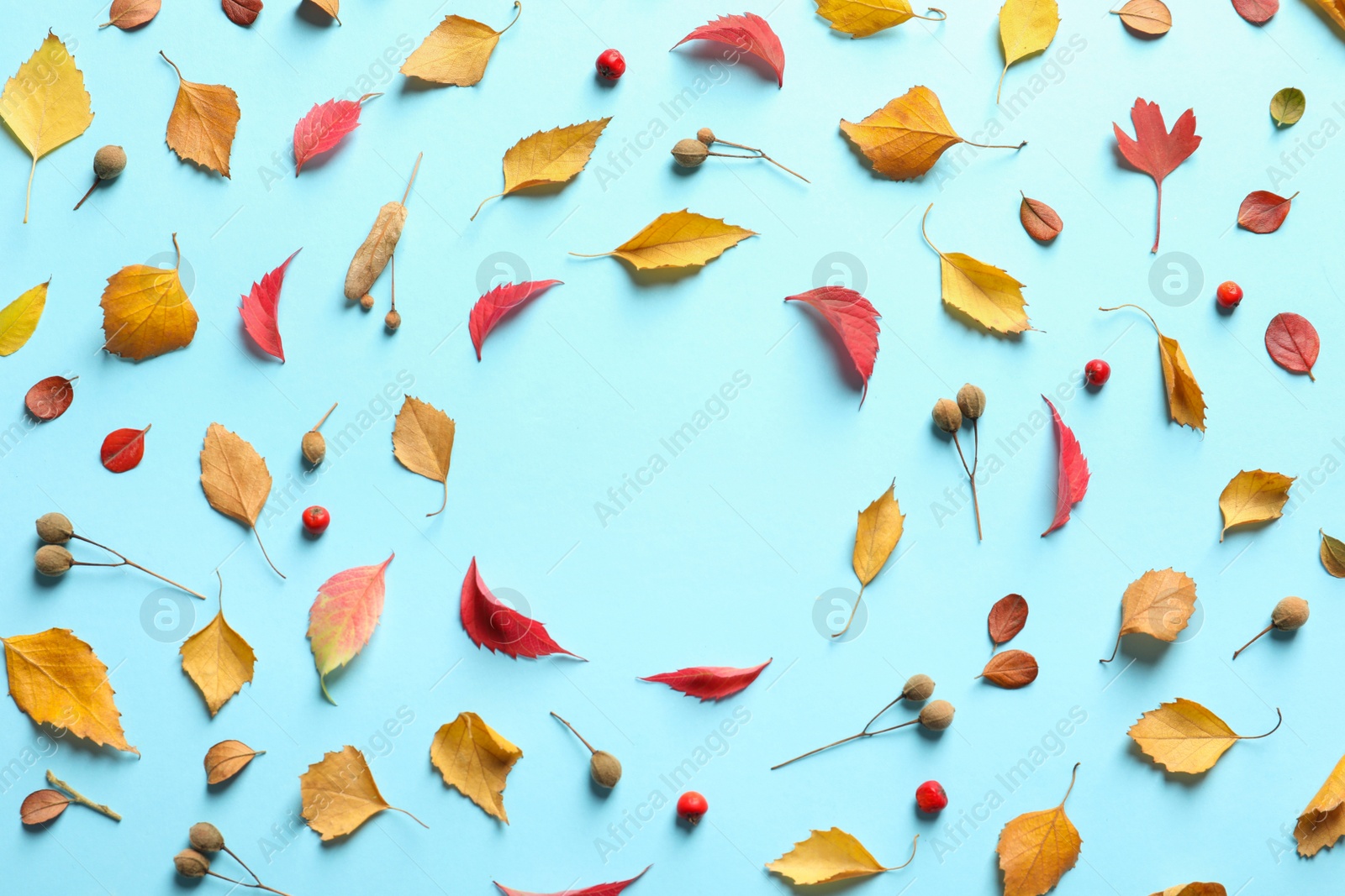 Photo of Flat lay composition with autumn leaves and space for text on color background