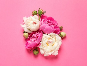 Beautiful peonies on color background, flat lay