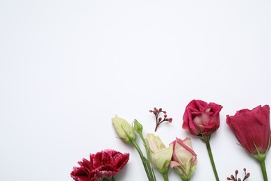 Photo of Beautiful floral composition with flowers on white background, flat lay. Space for text