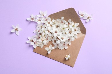 Photo of Envelope with apricot tree flowers on violet background, flat lay