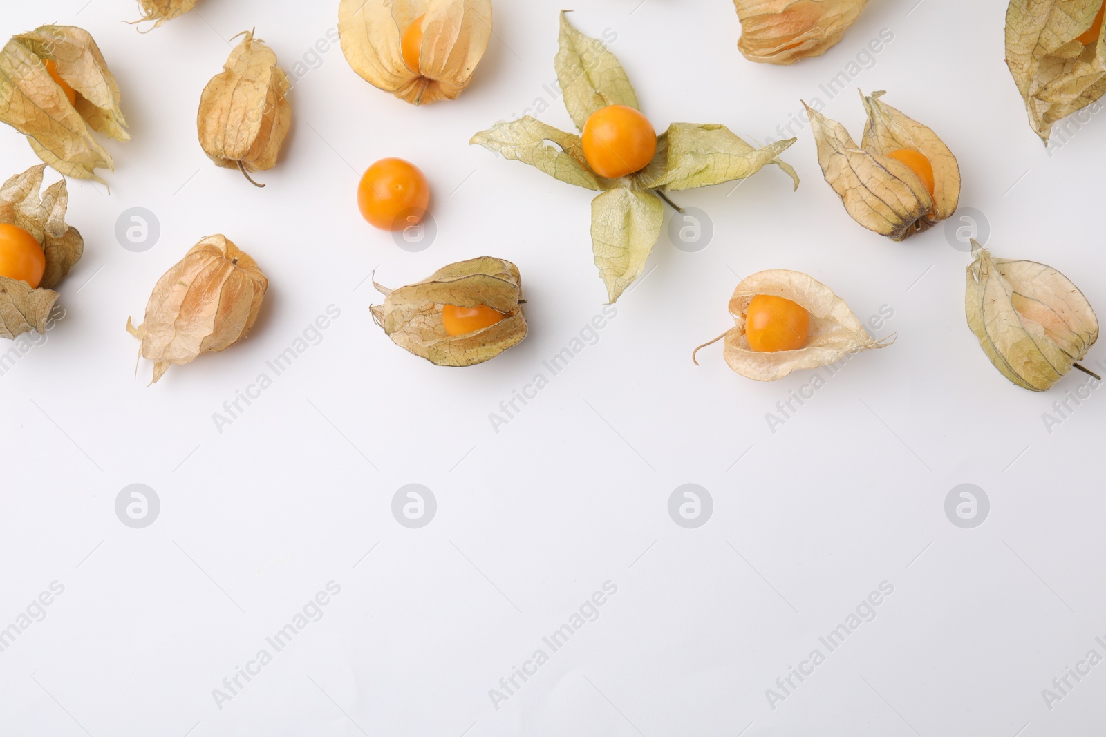 Photo of Ripe physalis fruits with calyxes on white background, flat lay. Space for text