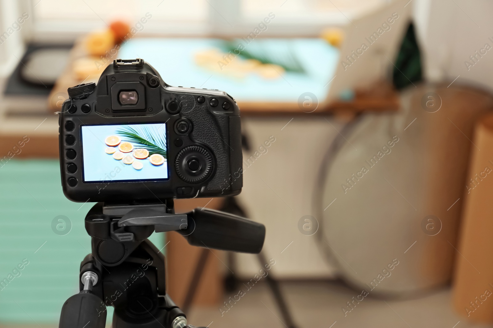 Photo of Professional camera with picture of cut fruits and palm leaf on display in studio. Food photography