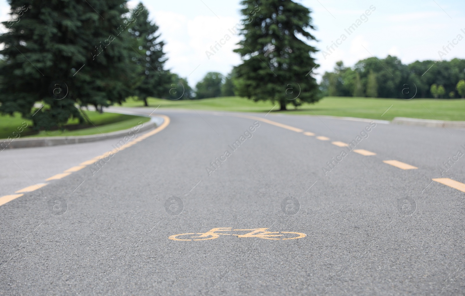 Photo of Bicycle lane with marking on asphalt road in park