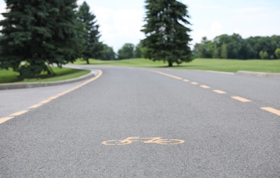 Bicycle lane with marking on asphalt road in park