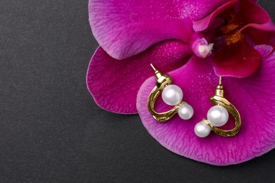 Photo of Elegant pearl earrings and orchid flower on black background, top view. Space for text