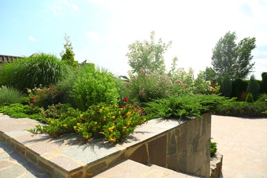 Picturesque landscape with beautiful green garden on sunny day