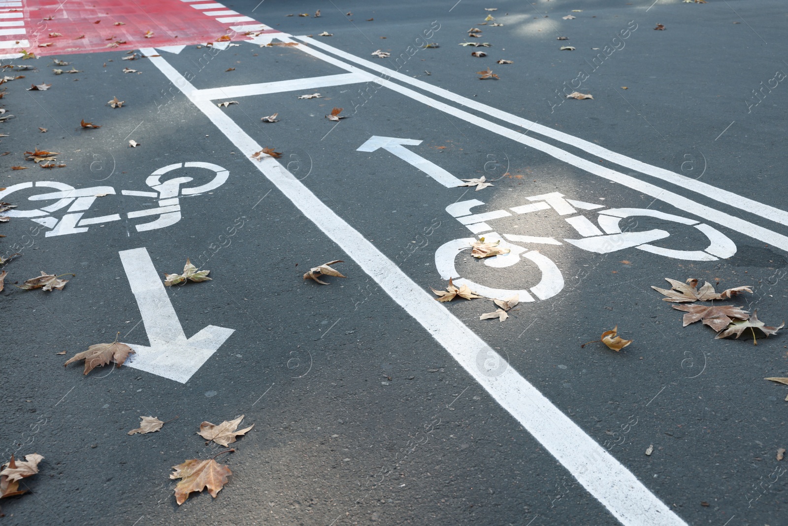 Photo of Two way bicycle lane with white signs on asphalt