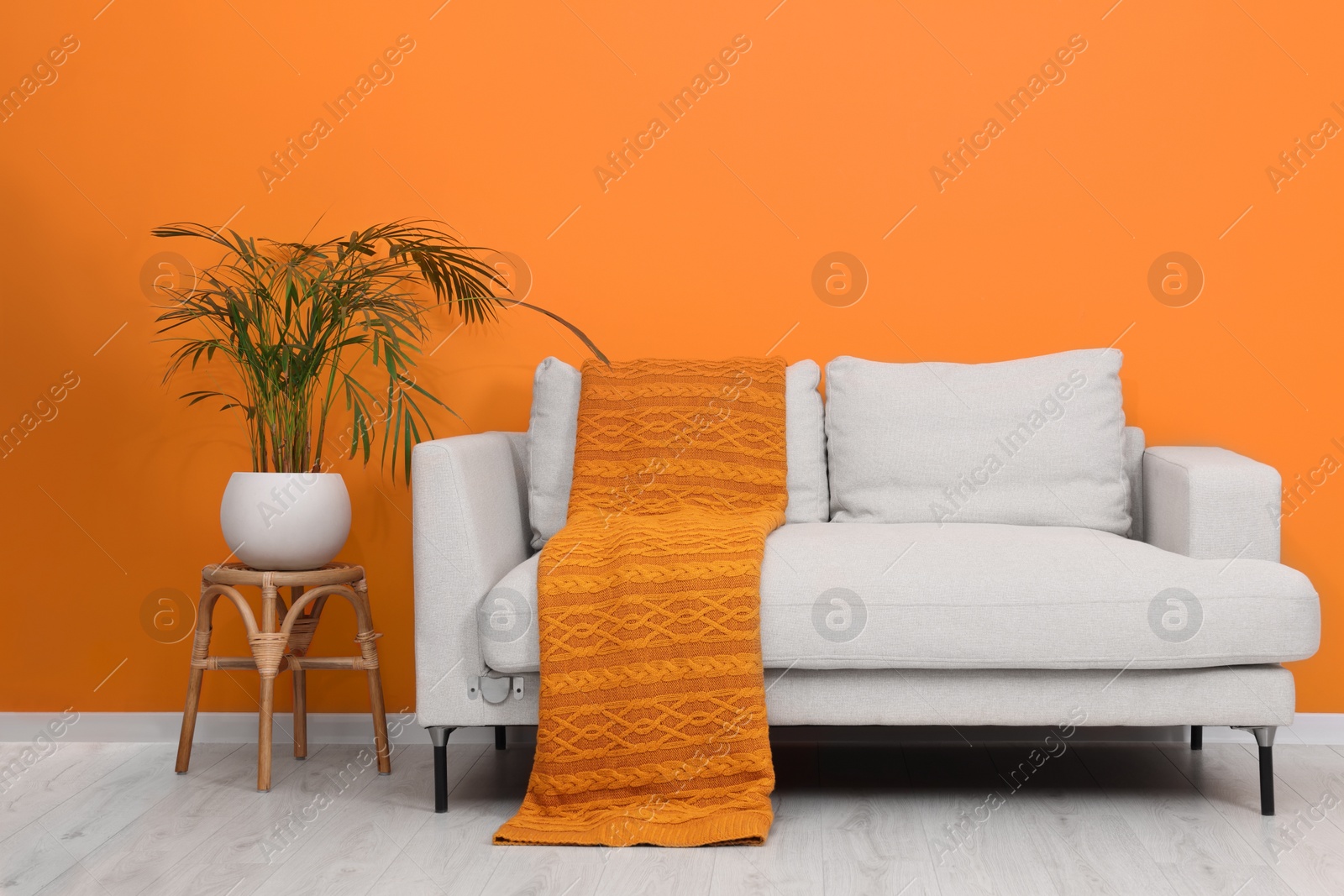 Photo of Comfortable sofa with orange blanket and houseplant indoors. Interior design