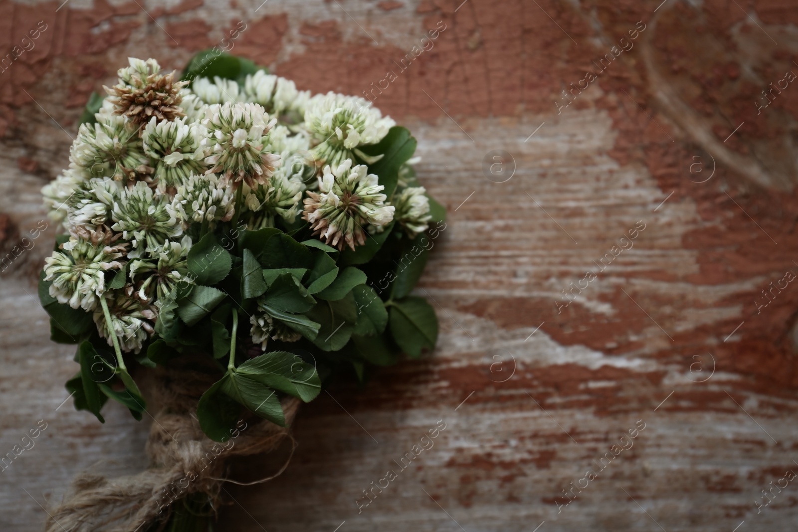 Photo of Bunch of beautiful clover plant on wooden table, top view. Space for text