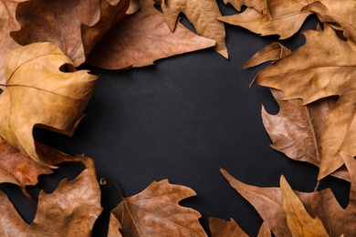 Photo of Frame of dry autumn leaves on black background, flat lay. Space for text