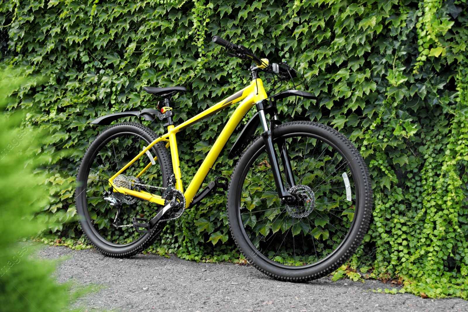 Photo of Yellow bicycle parked near wall covered with green ivy vines on city street