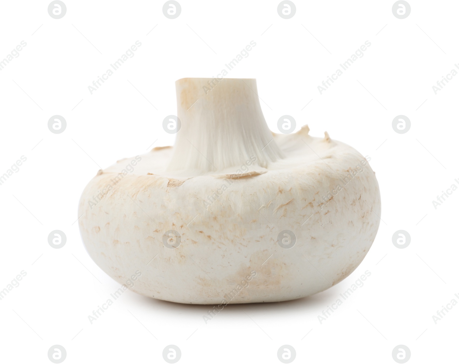 Photo of Fresh raw champignon mushroom on white background