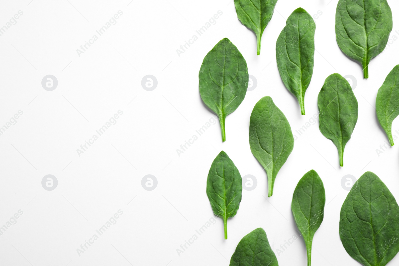 Photo of Fresh green healthy spinach leaves on white background, top view