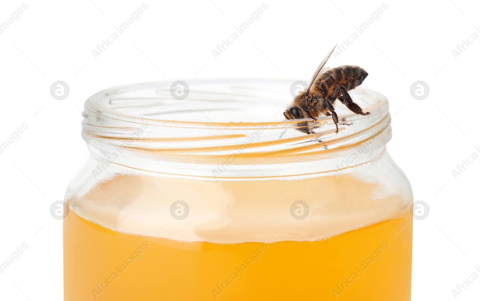 Photo of Jar with honey and bee on white background