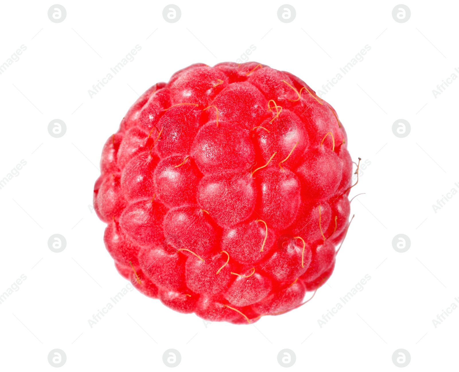 Photo of One tasty ripe raspberry isolated on white