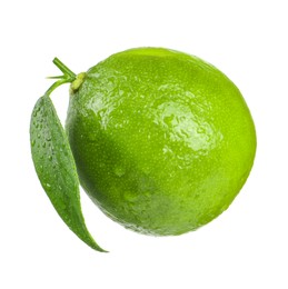 Fresh green ripe lime with wet leaf isolated on white