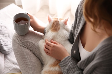 Photo of Woman with cute fluffy cat and tea indoors, closeup