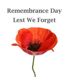 Image of Remembrance day card. Red poppy flower and text Lest We Forget on white background