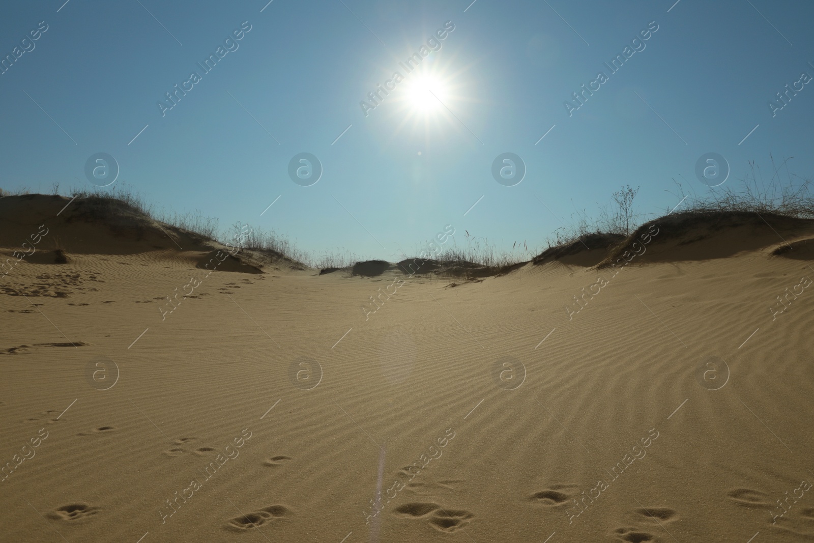 Photo of Picturesque view of desert on sunny day