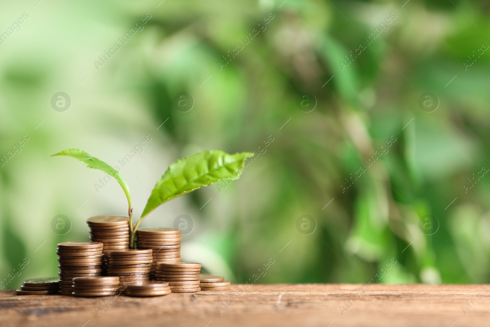 Photo of Money and sprout on wooden table against green blurred background, space for text