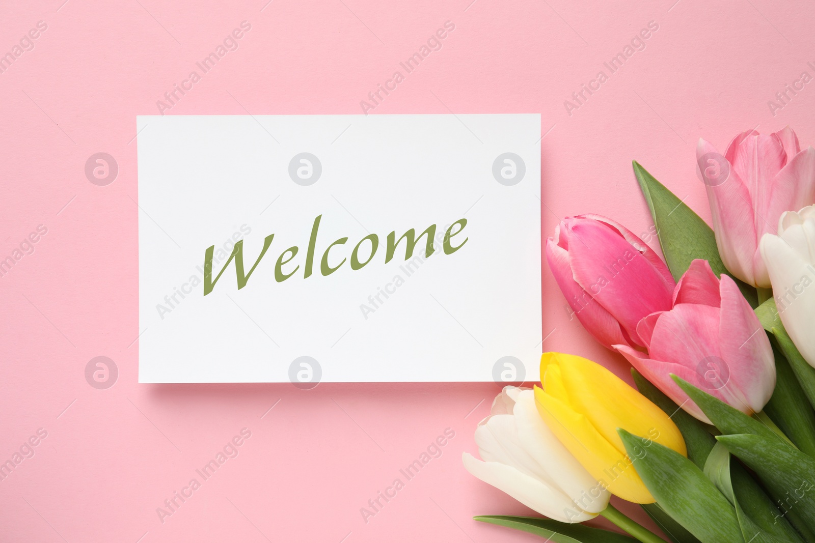 Image of Welcome card and beautiful tulips on pink background, top view