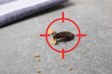 Image of Cockroach with red target symbol on grey table. Pest control